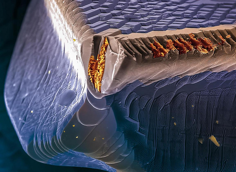 Illustration for article titled These Close-Up Views Of Nature And Technology Are Simply Awe-Inspiring